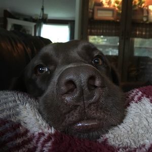 Meet your Posher, Robin